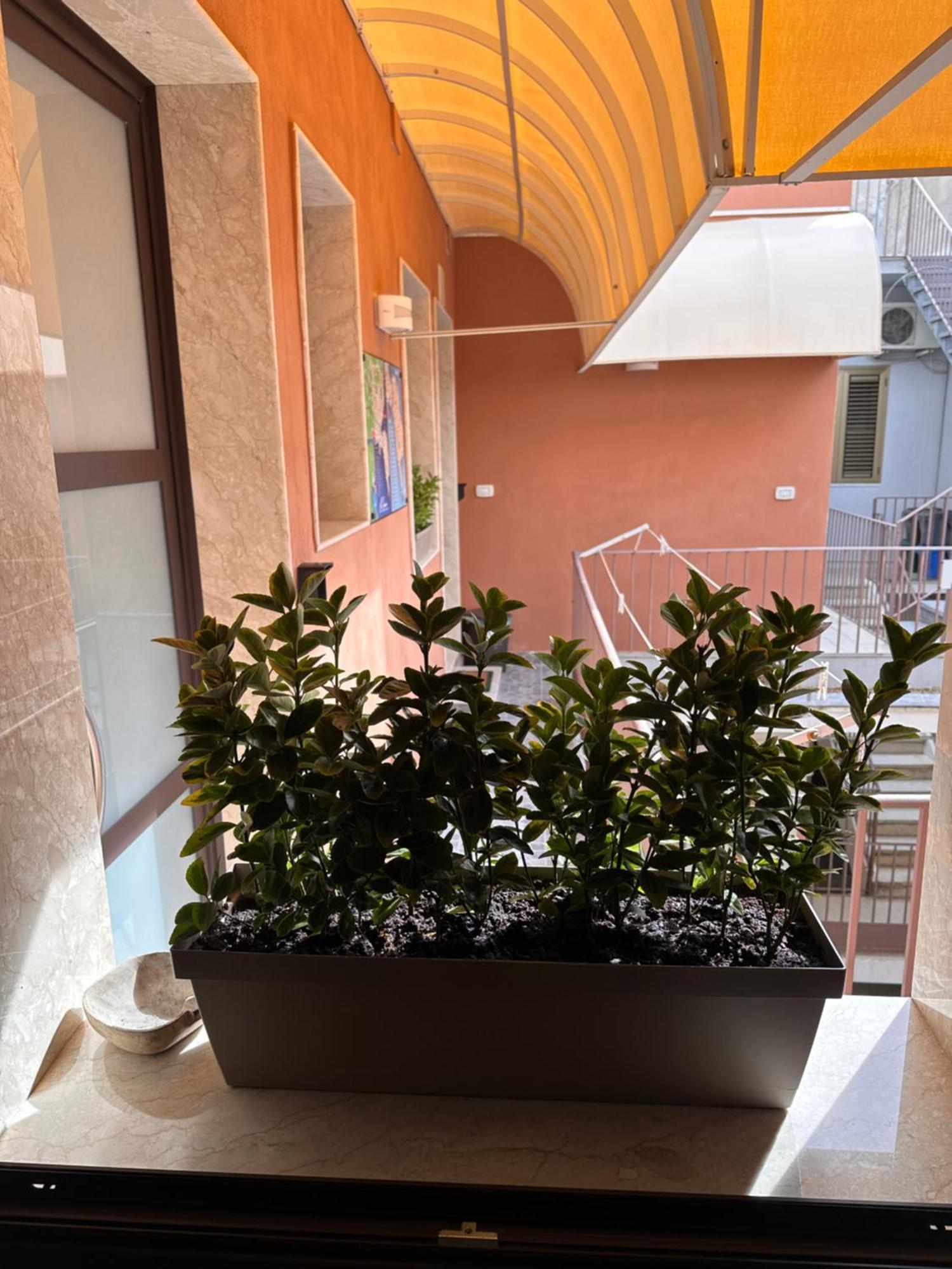 Le Camere Luxury Rooms Siracusa Syracuse Exterior photo